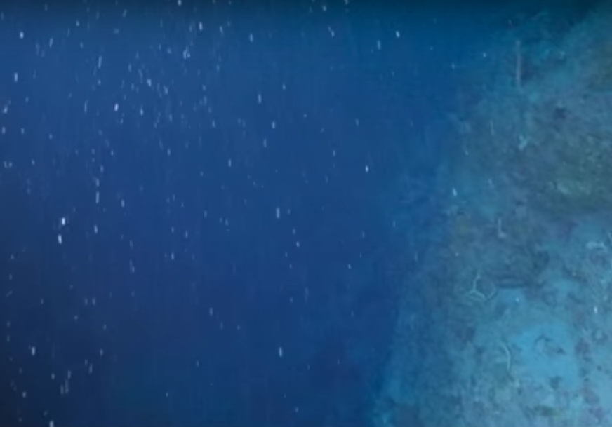 <p>a shower of organic material that falls from upper waters to the deep ocean floor; forms chalk and limestone deposits </p>