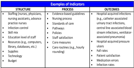 <p>4. Align the problem/indicator with Donabedian’s Framework</p><p></p>