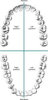 <p>Quadrants </p>
