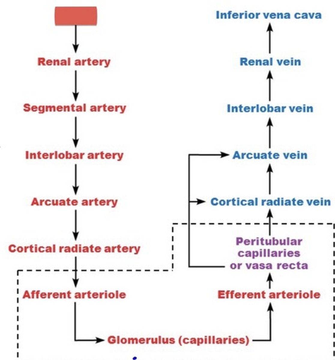 <p>What is this?</p>