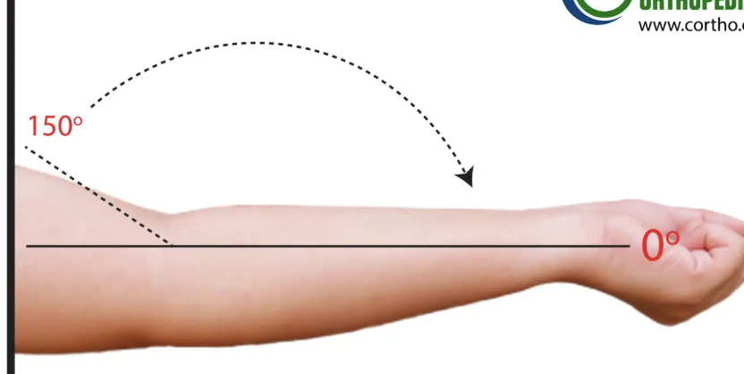 <p>Straightening your arm out in front of you, like when someone is handing you an object.</p>