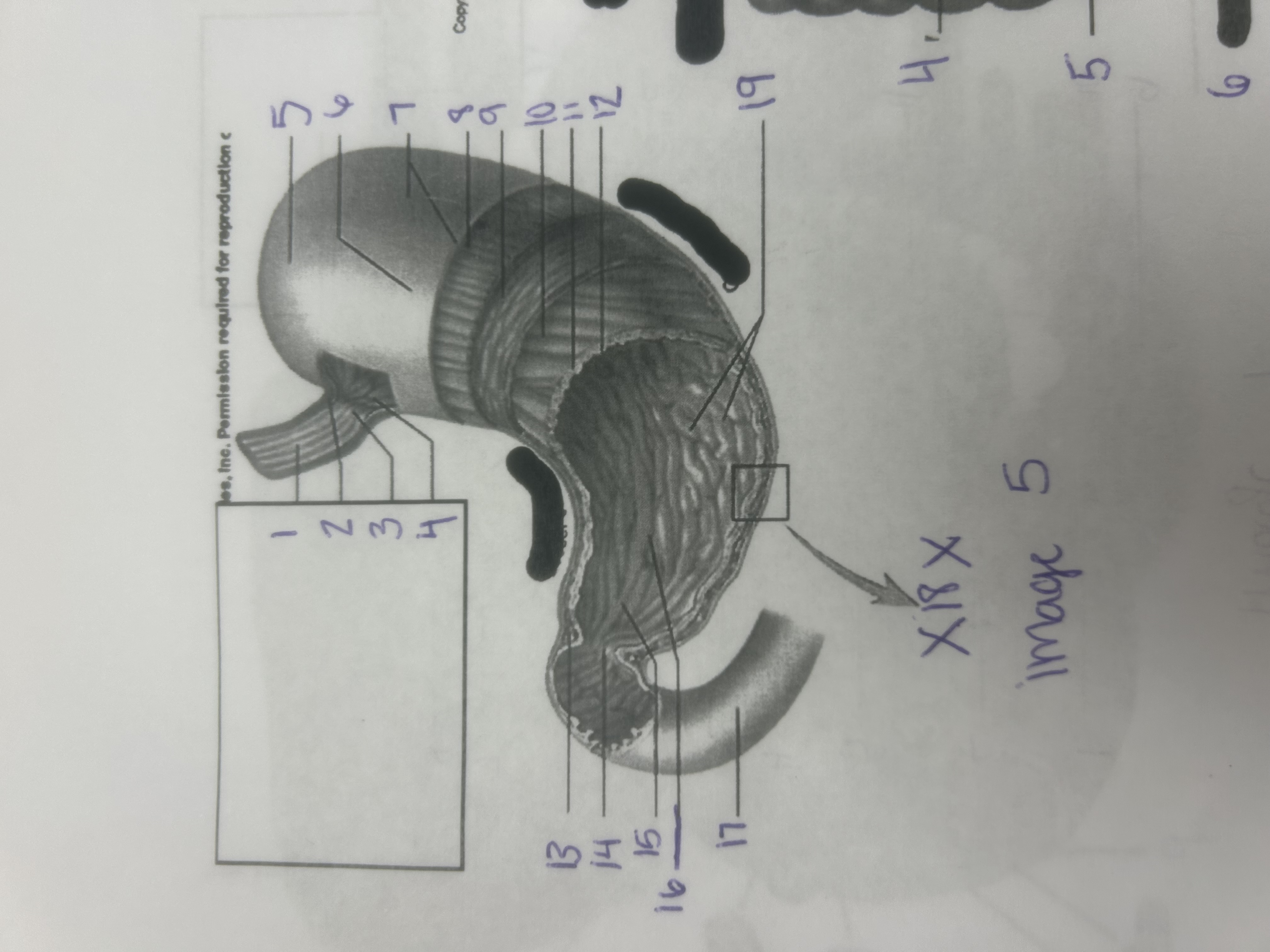 <p>5</p>