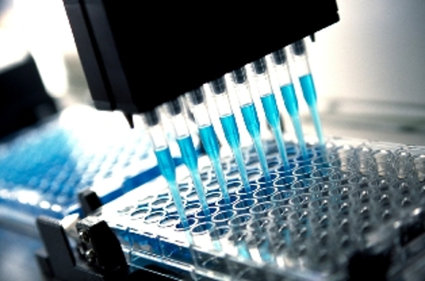 <p>means any technological application that uses biological systems, living organisms, or derivatives thereof, to make or modify products or processes for specific use</p>