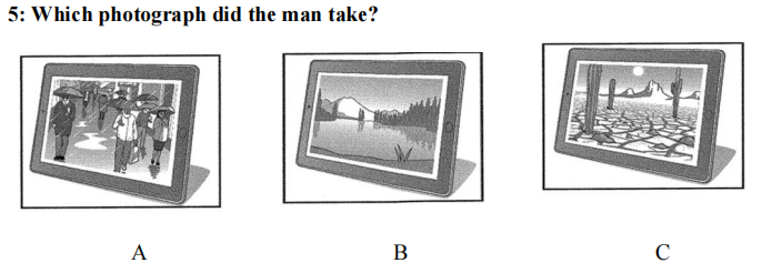 term image