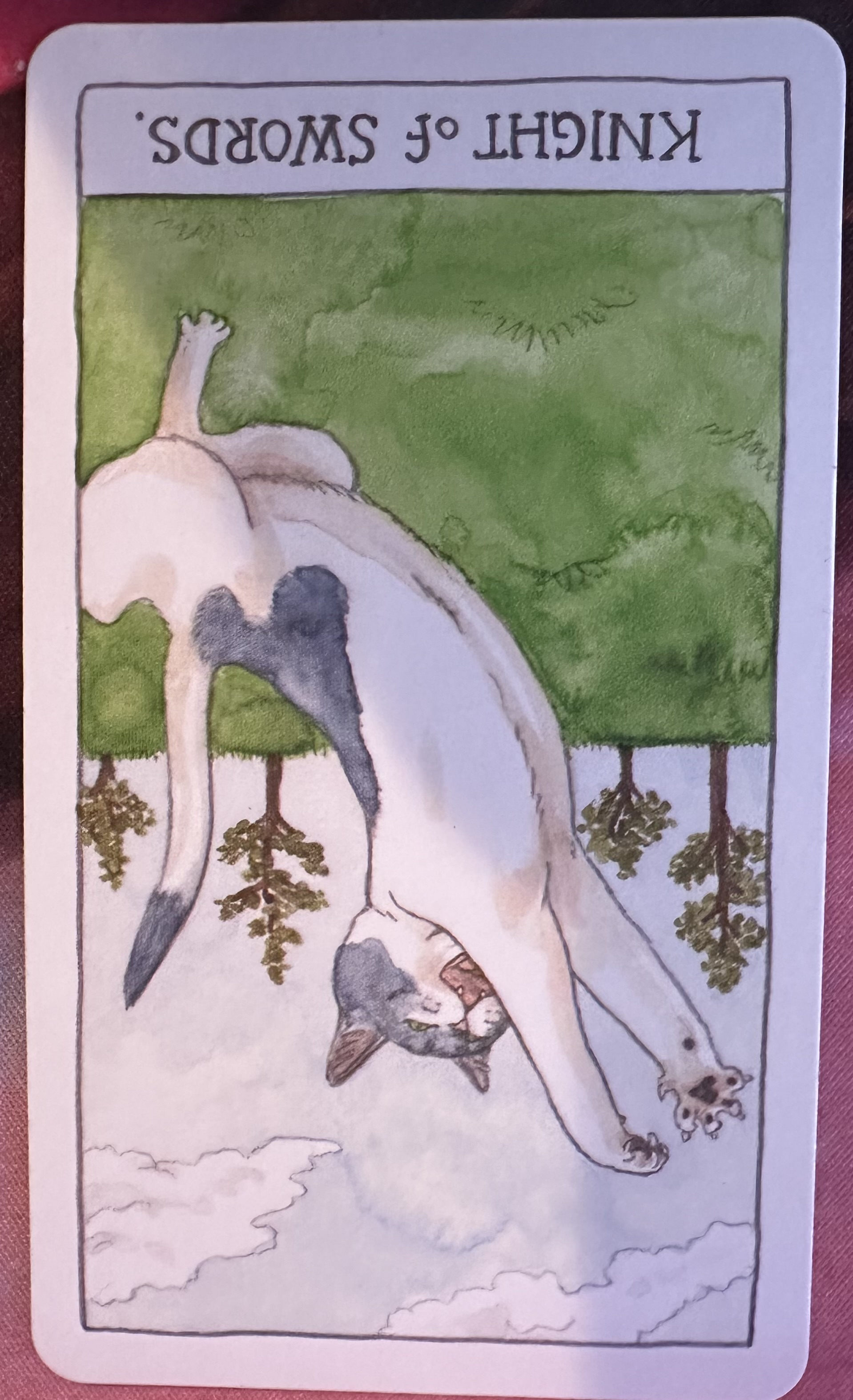 <p>Knight of Swords Reversed</p>