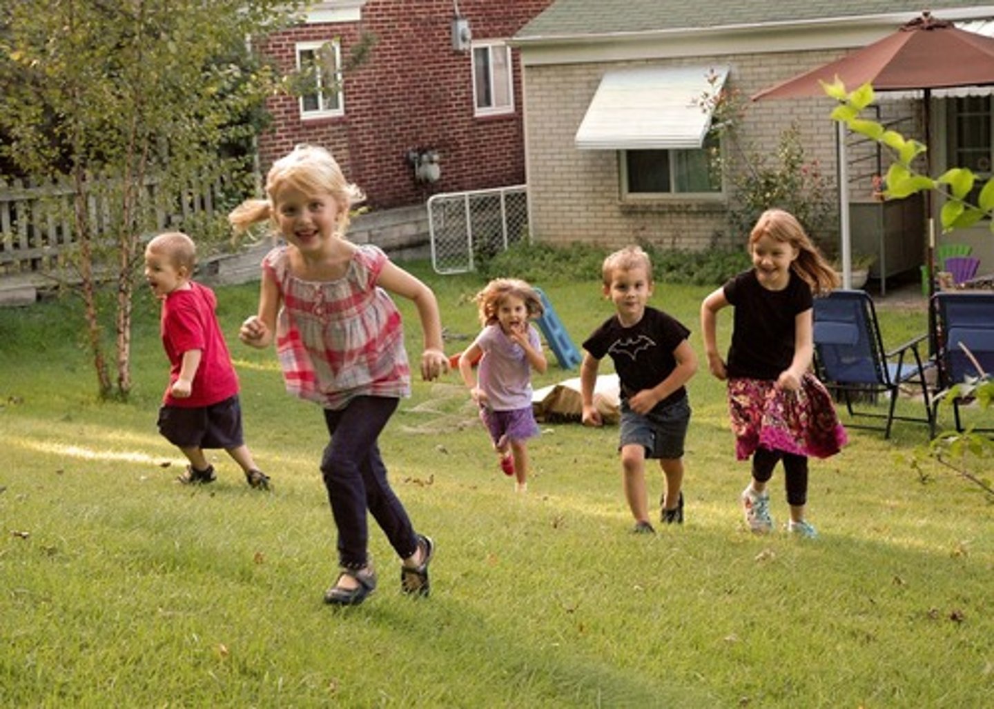 <p>to run around</p>