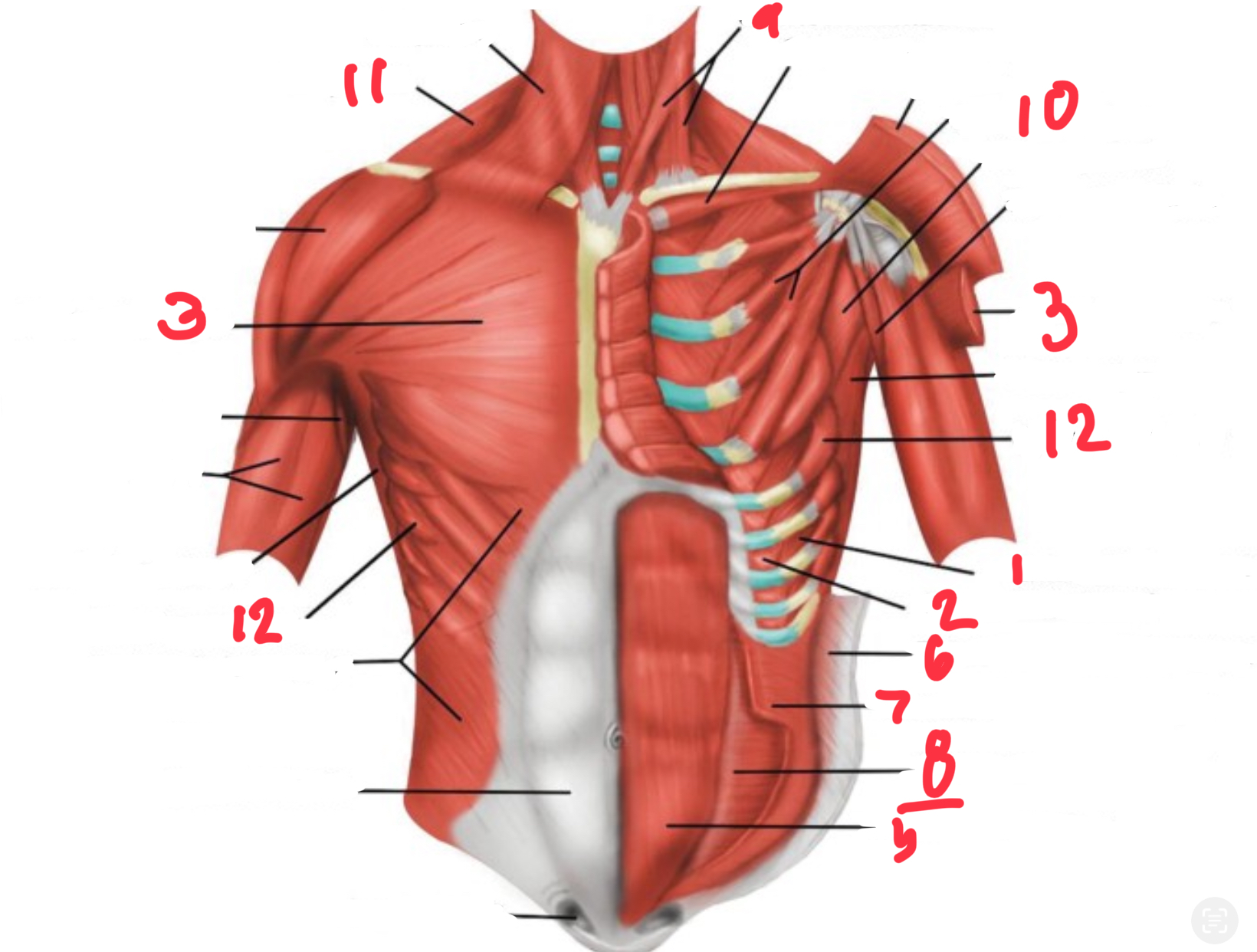 <p>what is #1</p>