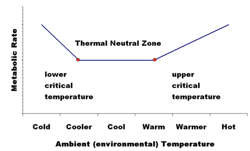 <p>The Thermal Neutral Zone (TNZ)</p>