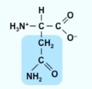 <p>N</p><p>polar</p><p></p>