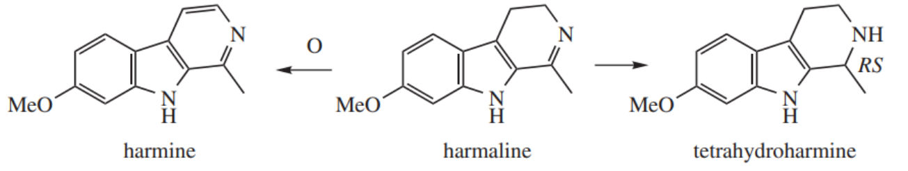 <p>From Peganum harmala (Zygophyllaceae)  and Banisteriopsis caapi (Malpigiaceceae) </p><p>Serotonin antagonists </p><p>Hallucinogenic/psychoactive </p><p>Cultural significance in Aztecs and Native Mexicans</p>