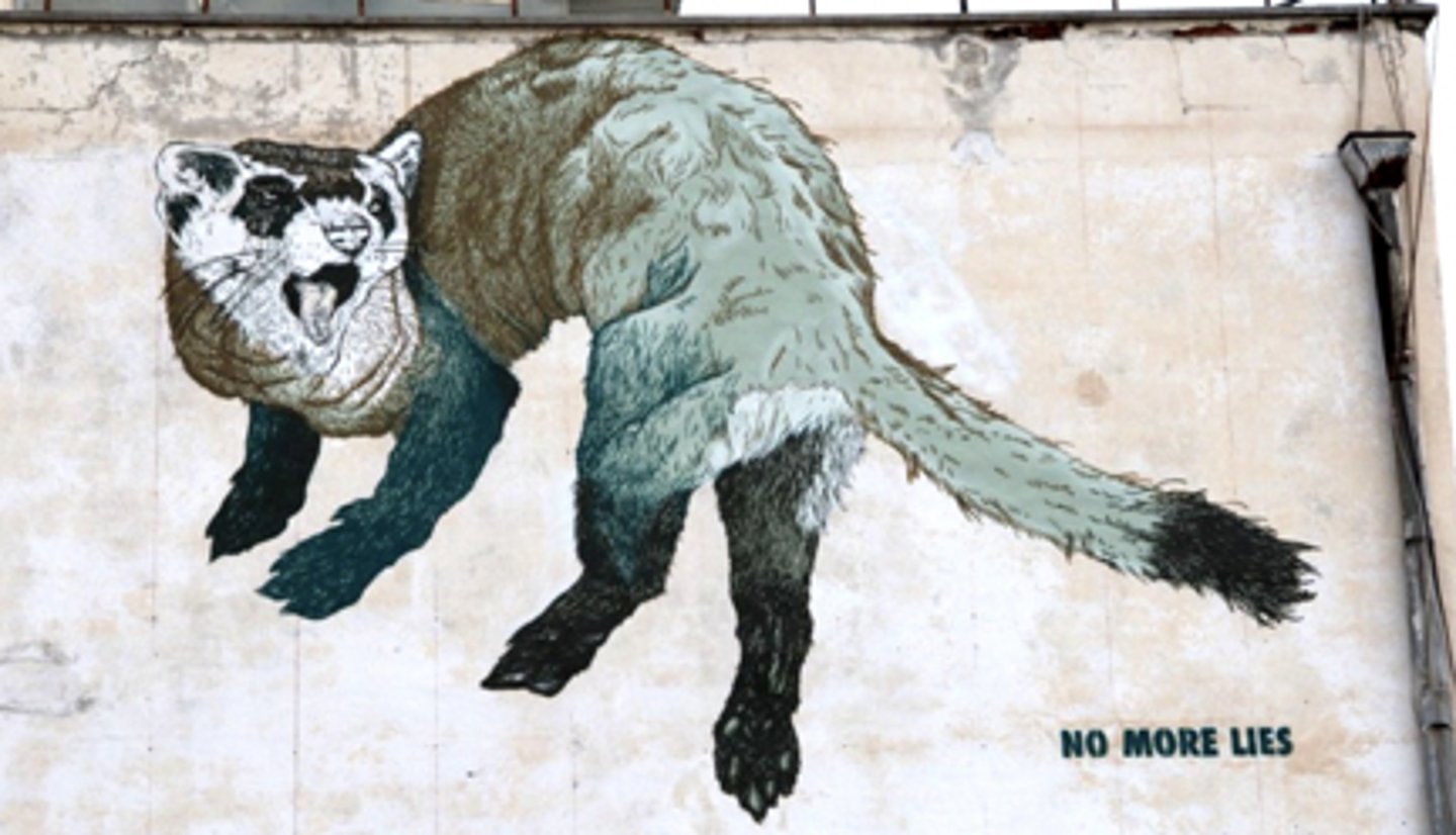 <p>a) Stencils of whimsical animals or politically charged imagery<br>b) Istanbul</p>