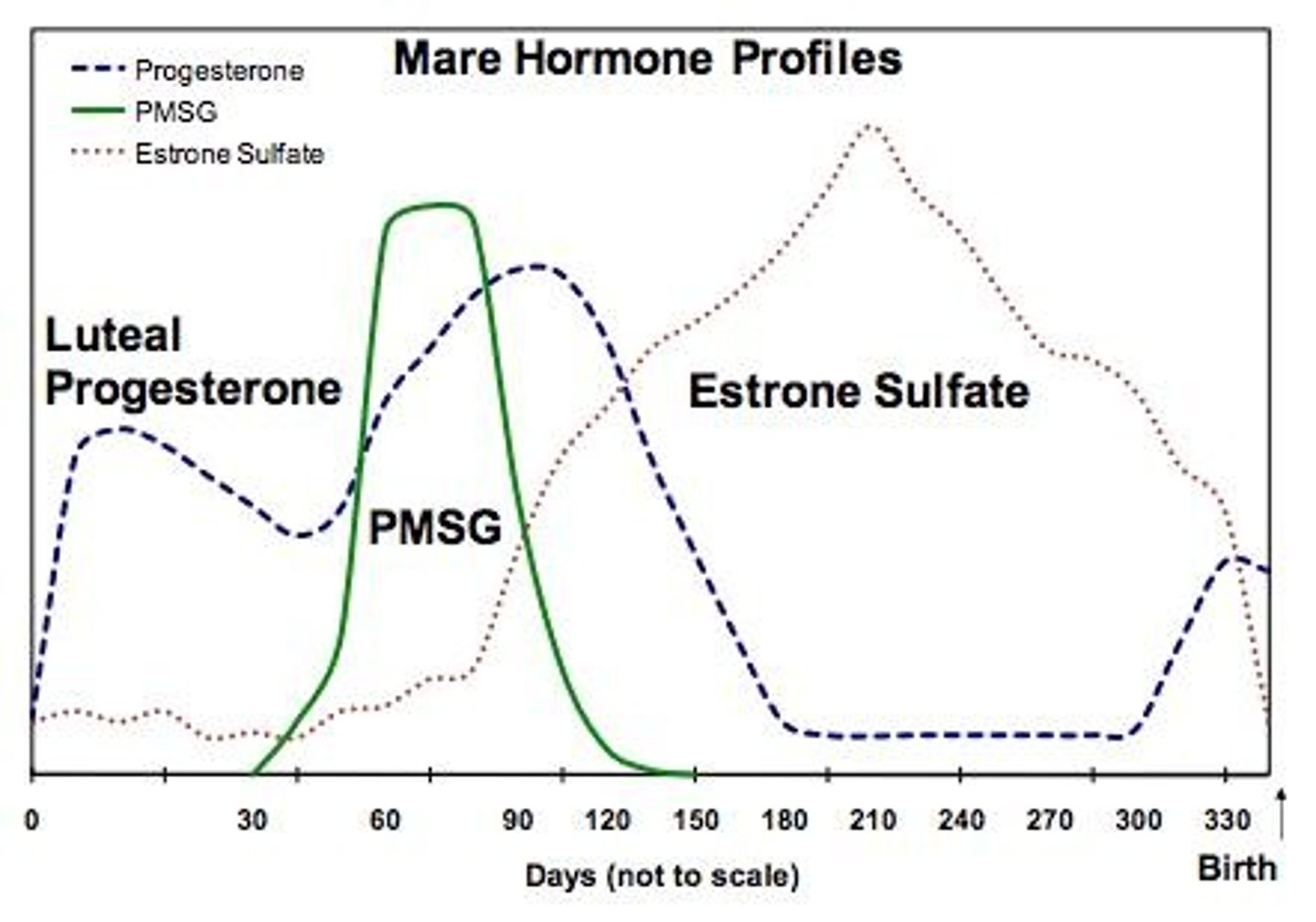 <p>Pregnant mare serum gonadotropin, detectable in blood from day 45-100.</p>