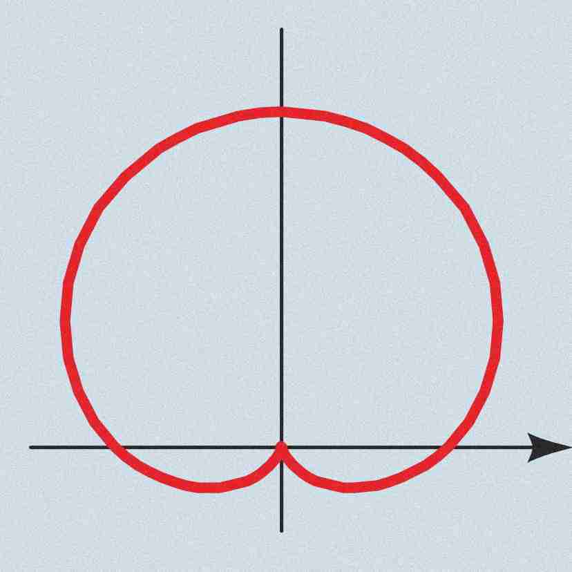 <p>Cardiod</p>