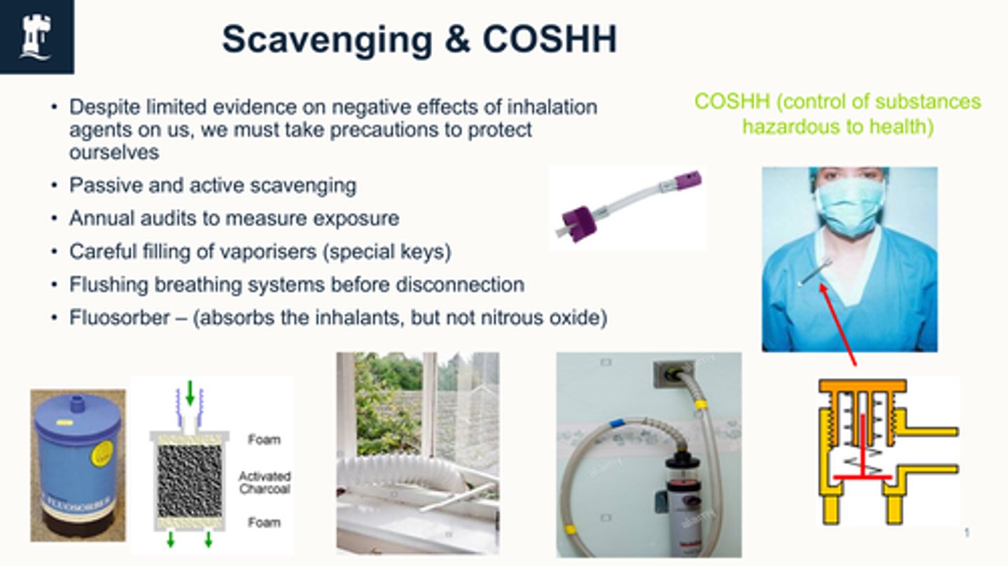 <p>Passive and active scavenging</p><p>Annual audits to measure exposure</p><p>Careful filling of vaporisers (special keys)</p><p>Flushing breathing systems before disconnection</p><p>Fluosorber is a passive scavenger - (absorbs the inhalants, but not nitrous oxide)</p><p>VCT (volatile capture technology) captures and absorbs anaesthetic agents that would otherwise be released into the environment.</p><p>Early stages of use currently.</p>