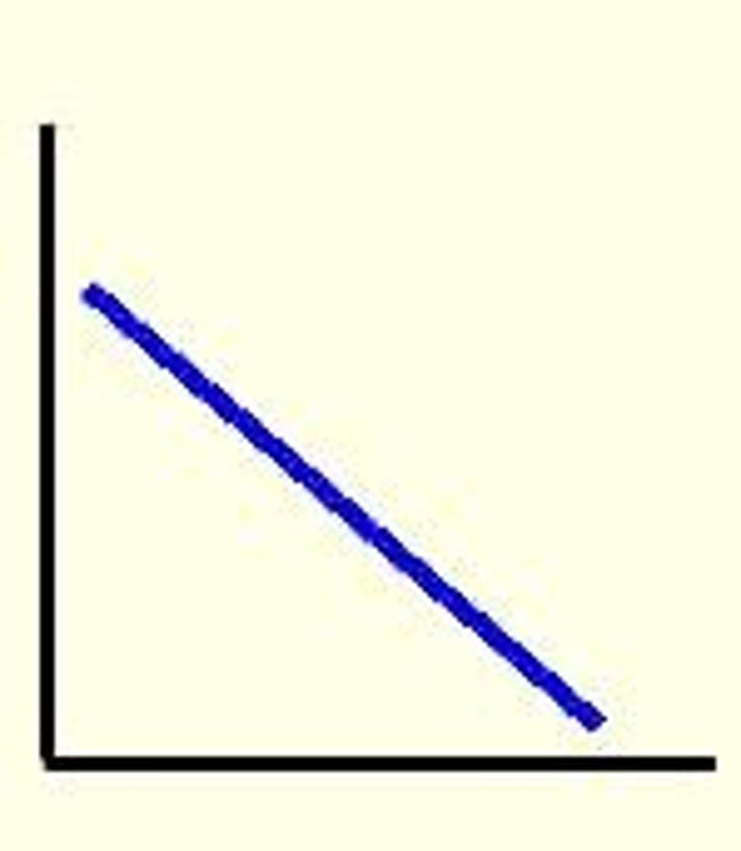 <p>v-t graph</p>