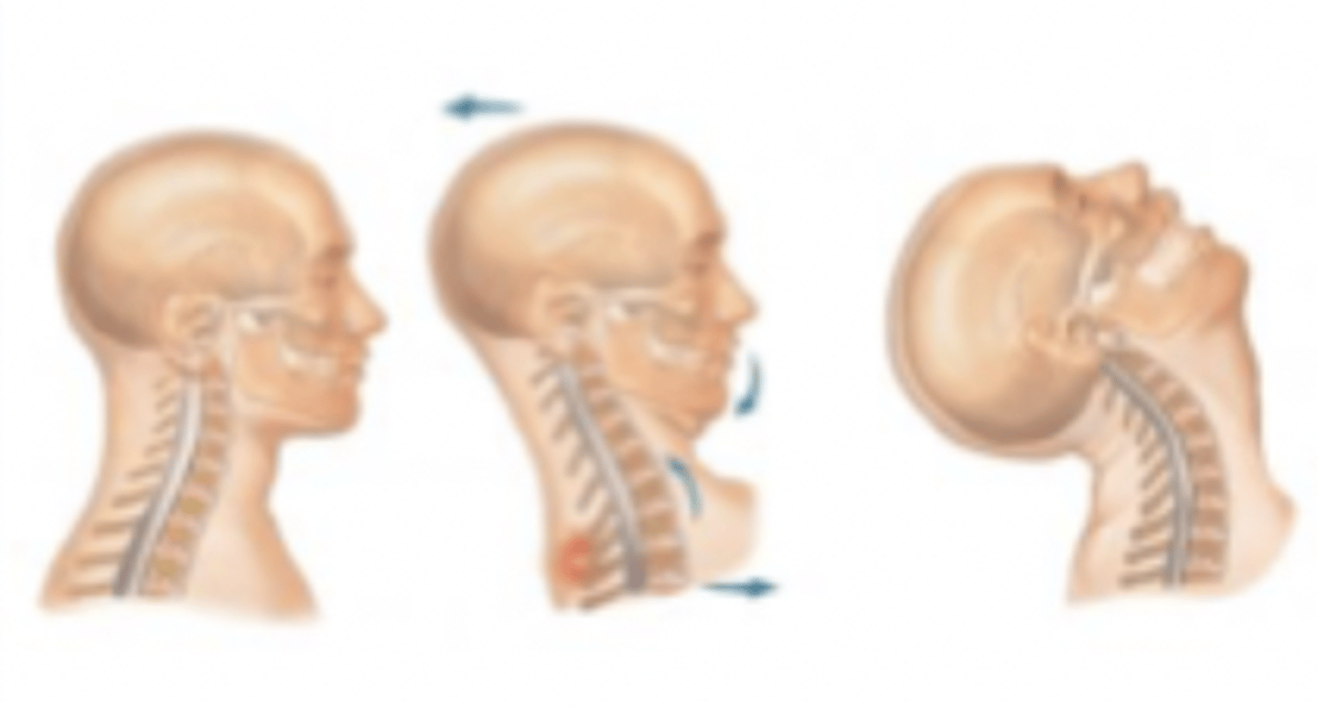 knowt flashcard image