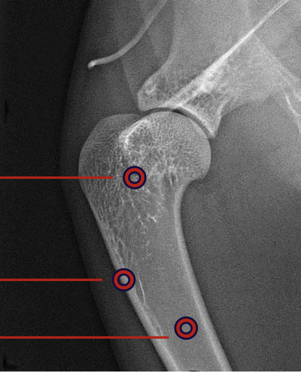 <p>what is the middle red circle highlighting?</p>