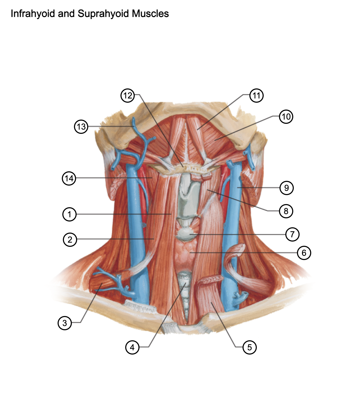 <p>4</p>