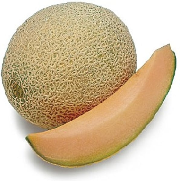 <p>le melon</p>