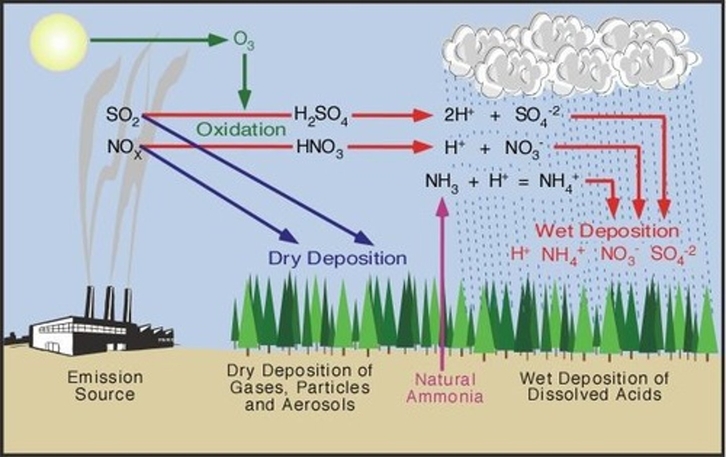 <p>Acid rain harms fish and wildlife in water.</p>
