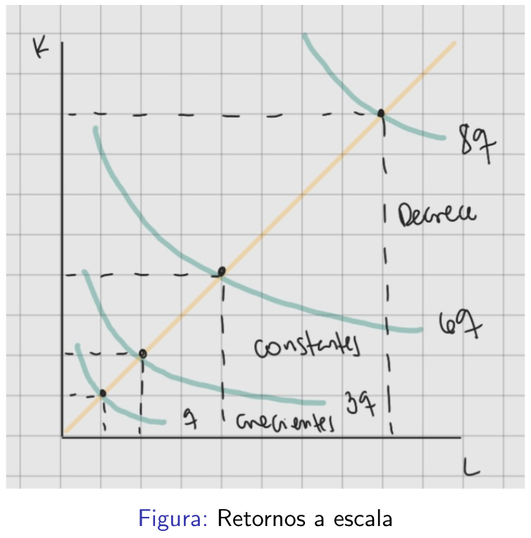 <p>nos ayudan a comprender cómo cambia la producción cuando todos los insumos aumentan proporcionalmente</p><ul><li><p><strong>Constantes</strong>: un aumento proporcional en los insumos produce un aumento proporcional en la cantidad producida.</p></li><li><p><strong>Decrecientes</strong>: un aumento proporcional en los insumos produce un aumento menor que proporcional en la cantidad producida. </p></li><li><p><strong>Crecientes</strong>: un aumento proporcional en los insumos produce un aumento mayor que proporcional en la cantidad producida. </p></li></ul>