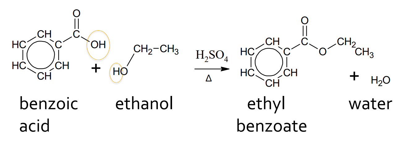 <p>catalyst: H<sub>2</sub>SO<sub>4</sub> and water</p><p>products: ester and water</p>