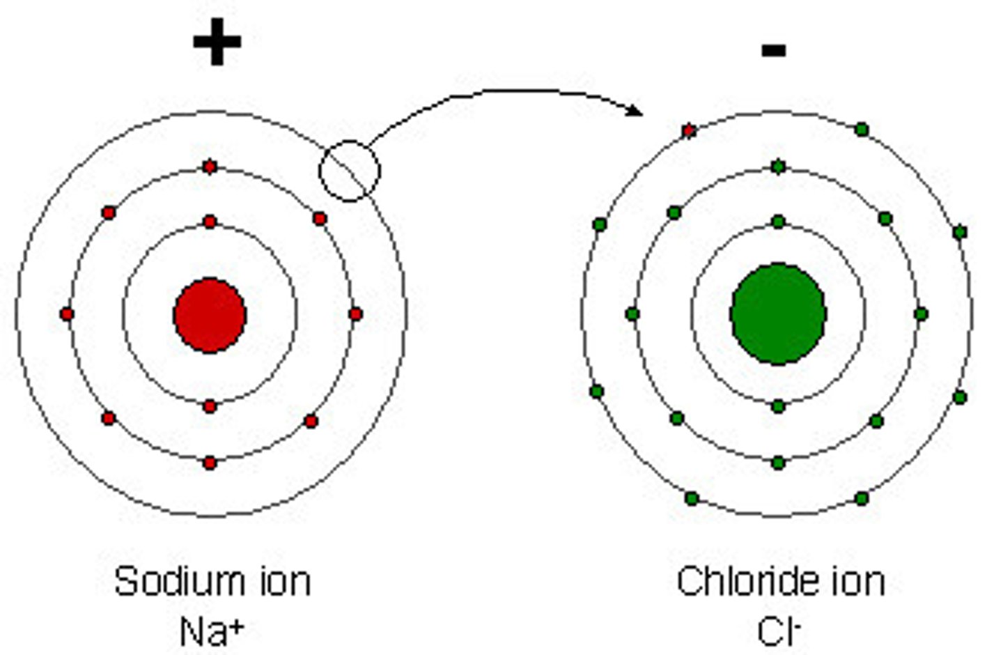 <p>positively or negatively charged atoms due to the loss or gain of one or more electrons.</p>