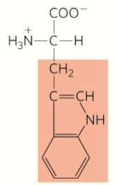 <p>Aromatic</p>