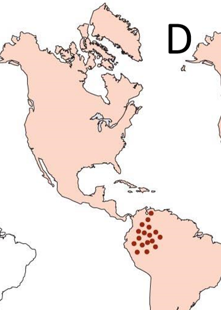 <p><span>contagious illness that spreads quickly and affects more people than expected in a specific area or community</span></p>