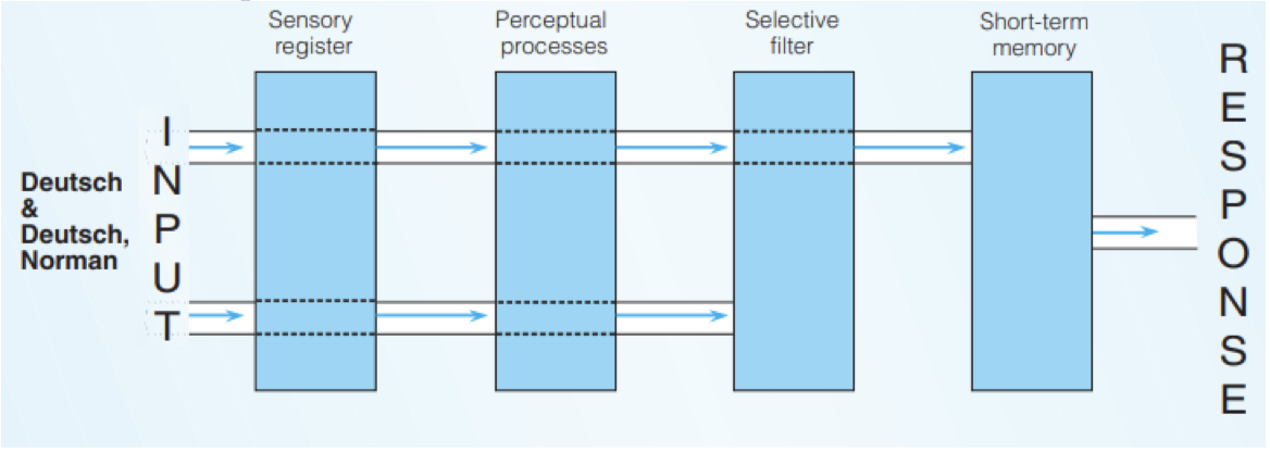 <ul><li><p>stimuli are filtered out only after they have been analyzed for both physical properties and meaning</p></li><li><p>allows people to recognize information entering unattended ear though which only single source of info can pass</p></li></ul>