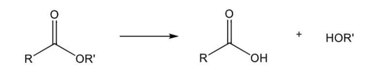 <p>mostly in plasma, some in liver</p>
