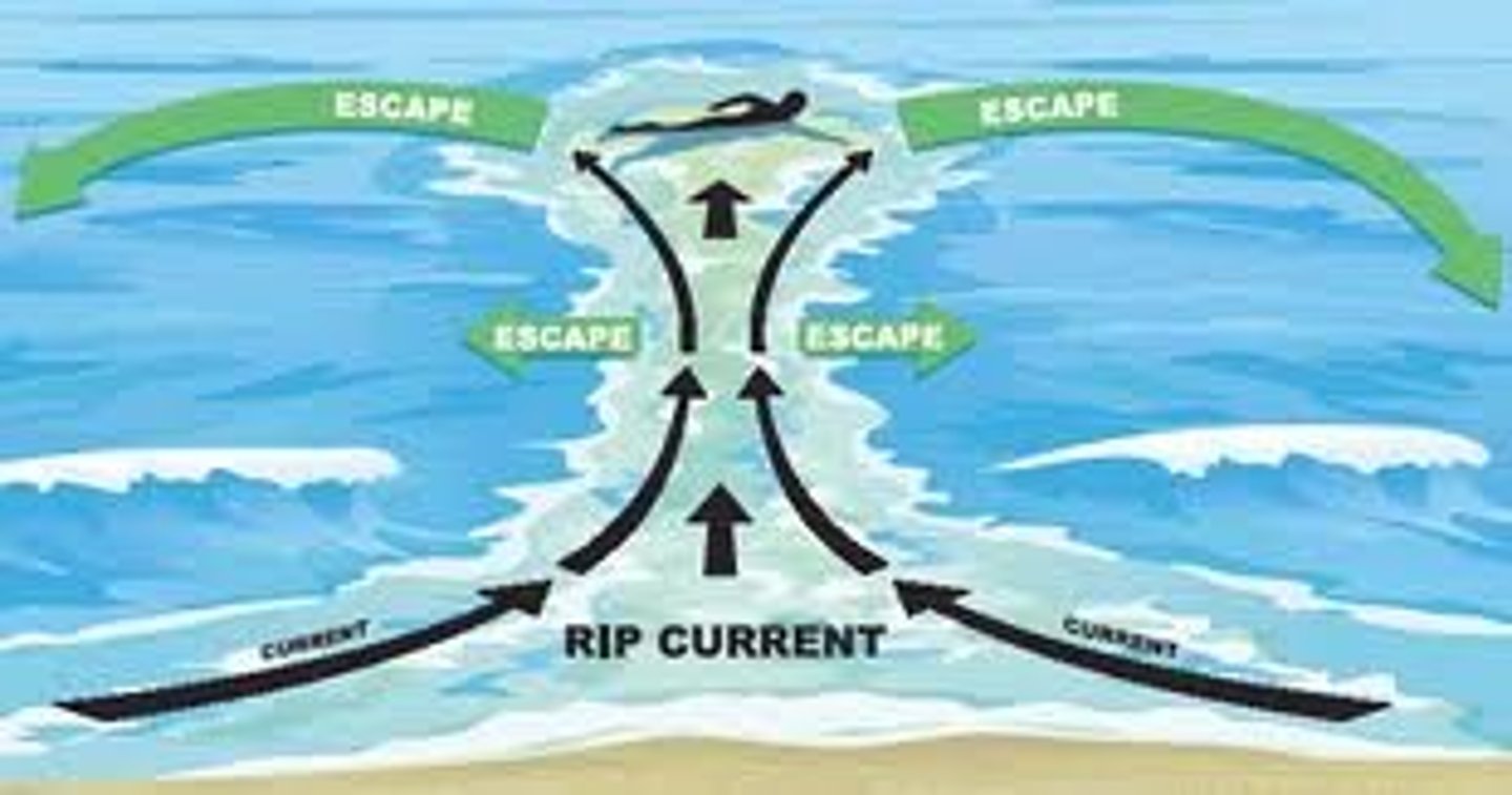 <p>Rip currents are caused by breaking waves and beach features, whereas riptides occur when the ocean tide pulls water through a small area like a bay or lagoon.</p>