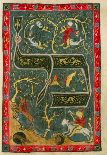 term image