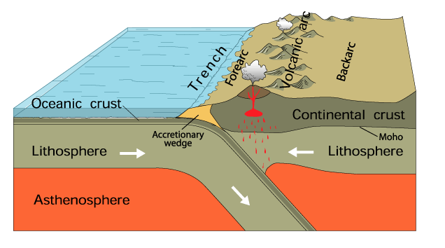 <ul><li><p>where the lithospheric crust is being pushed under and reclaimed by the mantle (where the oldest rock material is found)</p></li><li><p>occurs when an oceanic and continental plate meet</p></li></ul>