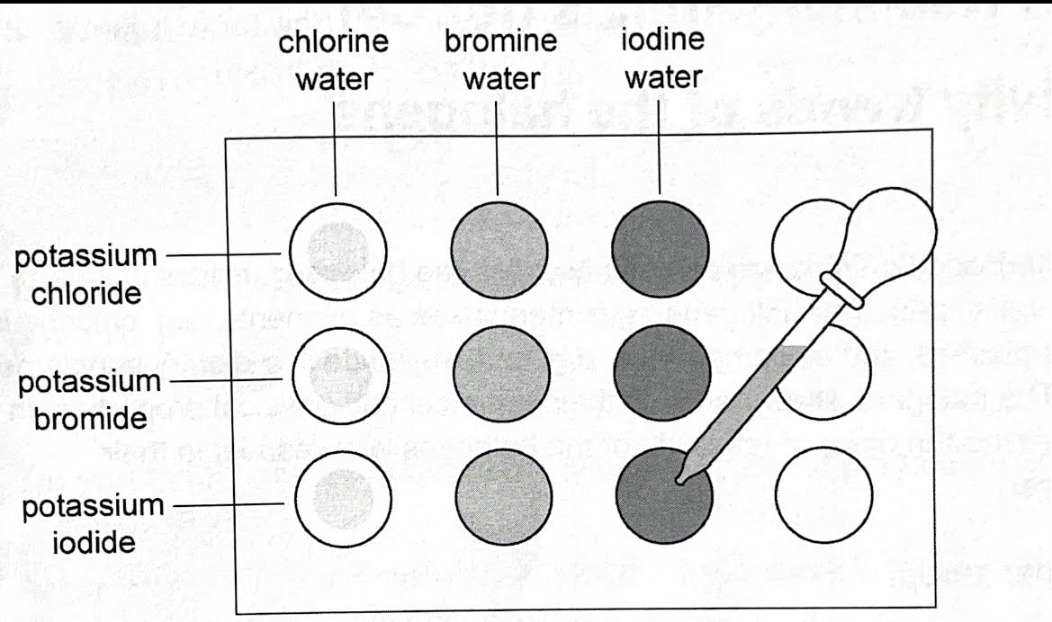 <ol><li><p>place 2 drops of potassium chloride solution in each 3 dimples on your dimple tile</p></li><li><p>repeat with potassium bromide in the next row and potassium iodine in the final row</p></li><li><p>place 2 drops of chlorine water in each 3 dimples down left hand column of dimple tile</p></li><li><p>repeat with bromine water and iodine water in the next columns</p></li><li><p>observe if there is a colour change with either chlorine, bromine or iodine </p></li></ol>