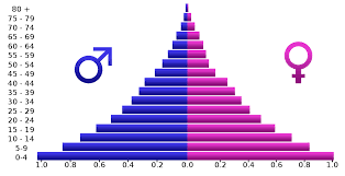 <p>Population Pyramids</p>