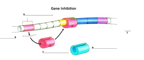 <p>What is label 5?</p>