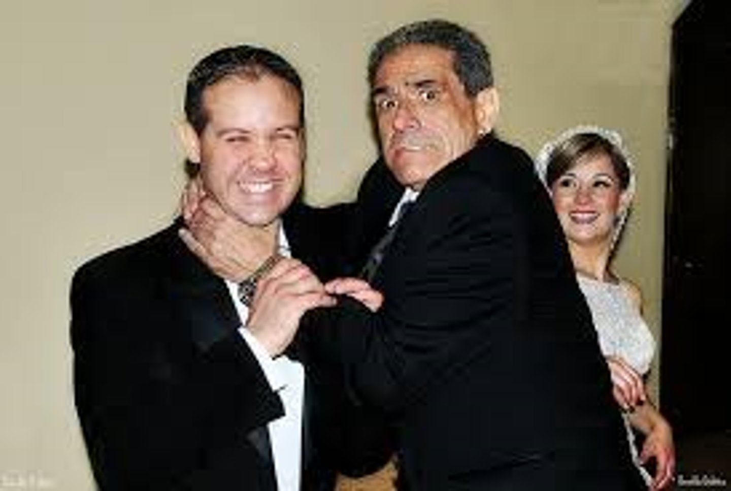 <p>son-in-law</p>