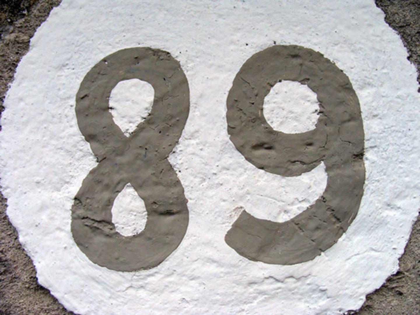 <p>eighty nine</p>