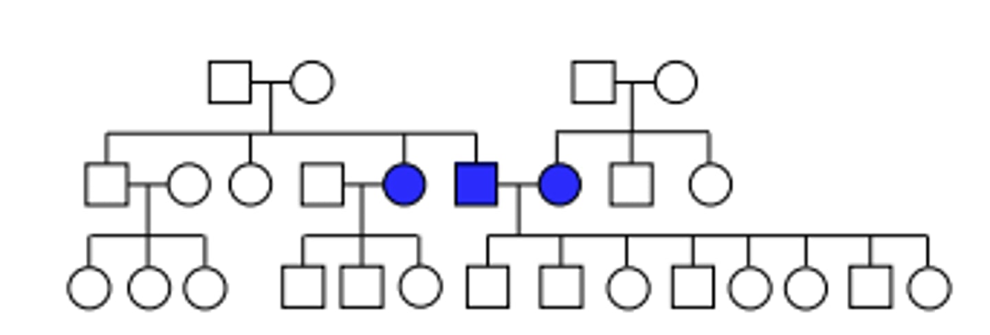 <p>Pattern of inheritance?</p>
