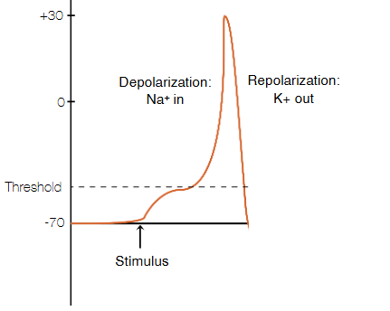 <p>What is this?</p>
