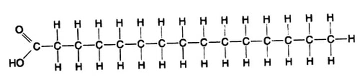 <p>Which of the following statements is true regarding the molecule shown above?</p><p>A. It is an unsaturated fatty acid, a type of fat produced by plants.</p><p>B. It is a saturated fatty acid, a molecule which can adhere to the inside of small blood vessels and cause atherosclerosis</p><p>C. Molecules of this type are usually liquid at room temperature.</p><p>D. It is polar, and therefore, hydrophilic.</p>