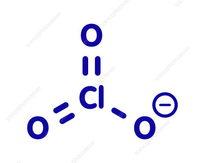 <p>Cl O3 ^ -</p>