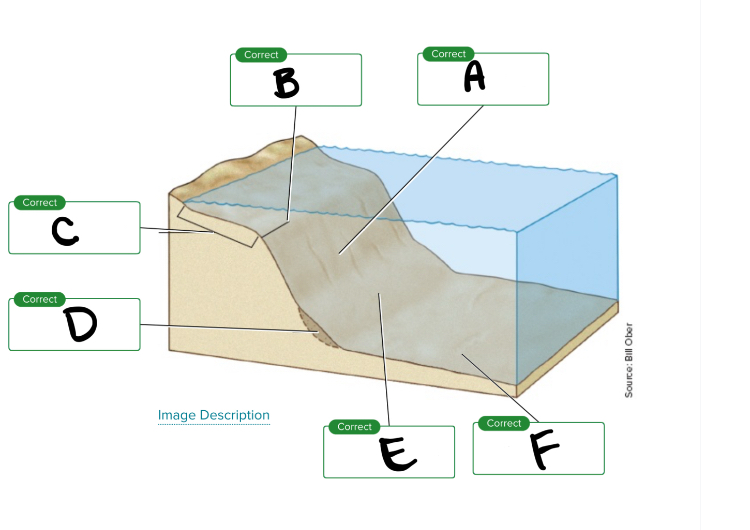 <p>Looking at the continental margin, what is C? </p>