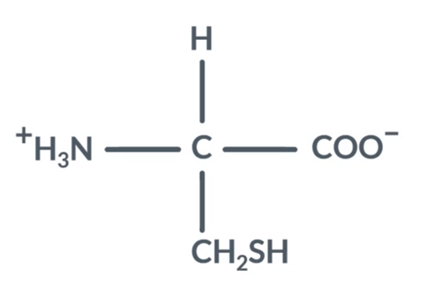 <p>The NH₂ group changes to NH₃</p><p>The COOH group changes to COO⁻</p>