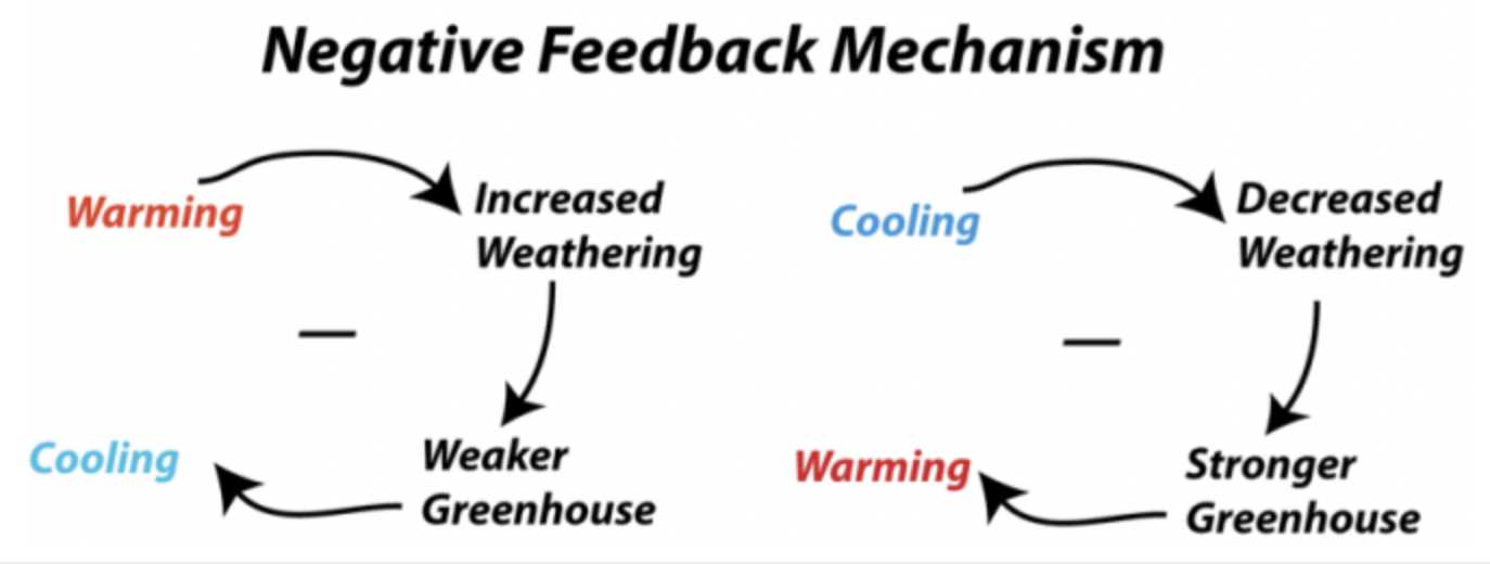 <p>Counteracts or dampens an initial change, makes it less likely to happen again (i.e. someone gets cold, starts to shiver </p>