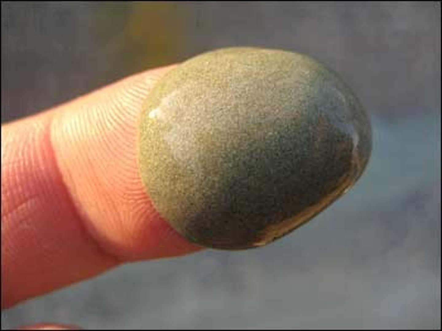 <p>Second smallest particle of soil. A sedimentary material consisting of grains or particles of disintegrated rock.</p>