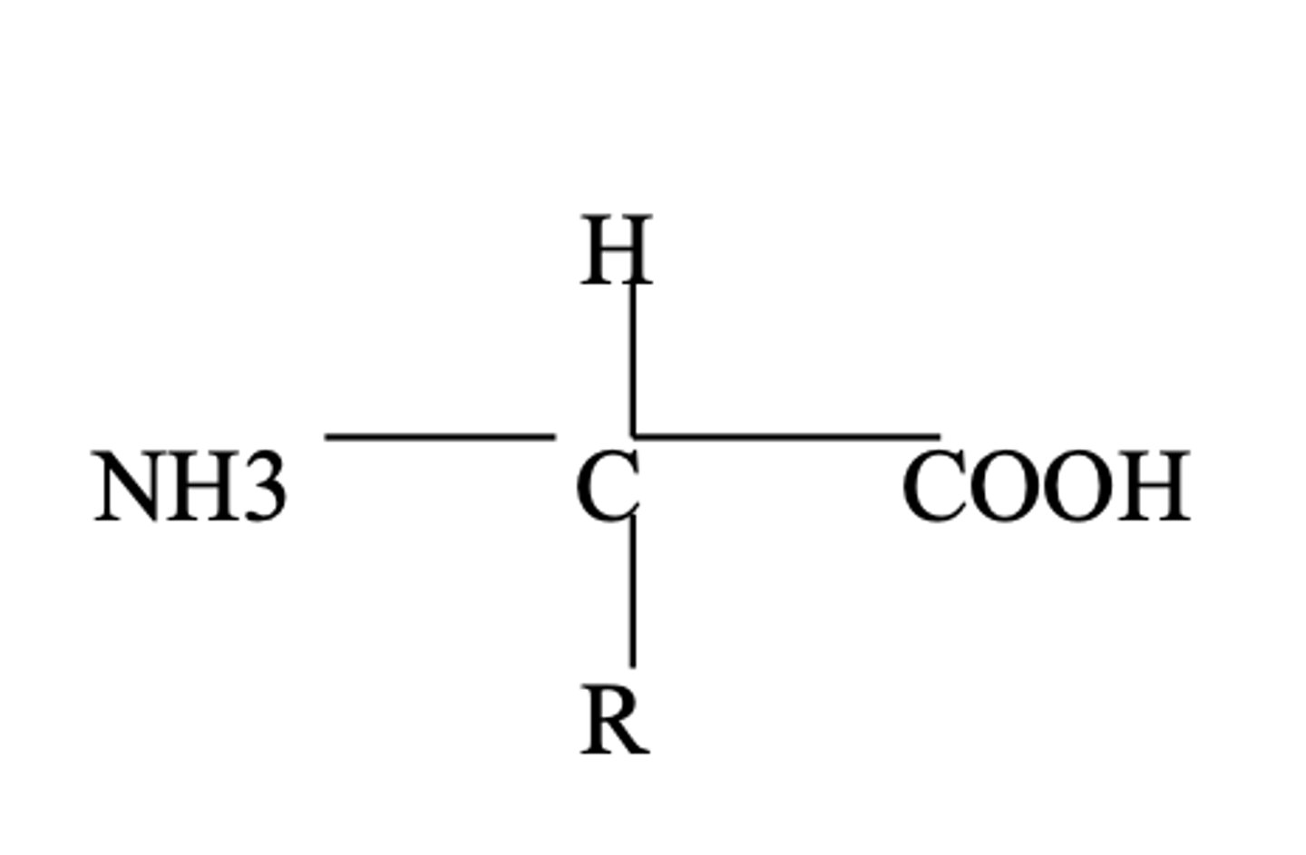 <p>general formula for amino acids</p>
