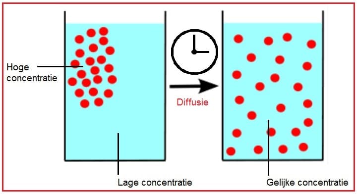 <p>Wat is diffusie</p>