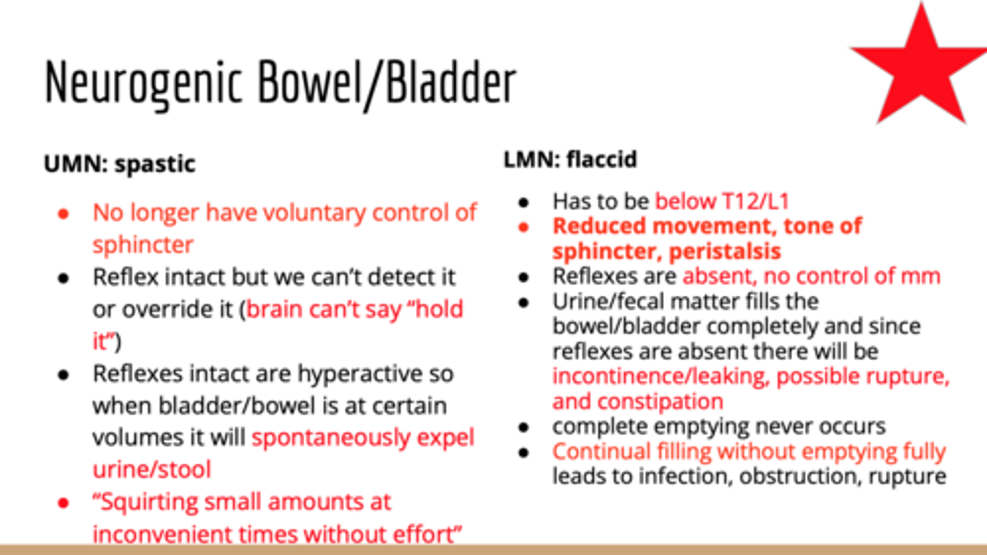<p>-Reflex/spastic bladder with lesion above S2</p><p>-PSNS and internal sphincter connections from S2-4 are intact so reflex defecation when rectum filled with stool</p><p>Tx:</p><p>-Digital stimulation to manual stretch anal sphincter</p><p>-Then add valsalva and/or abdominal massage for evacuation</p><p>-Empty daily or every other day</p>